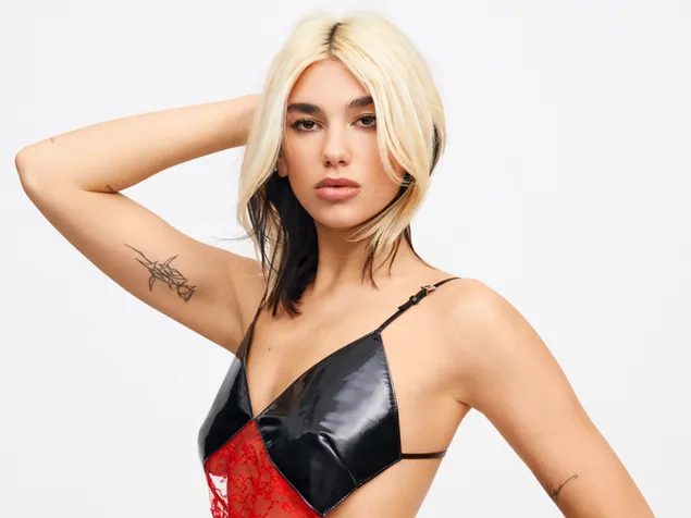 Dua lipa blonde hair with a black low-cut outfit on her head white background download
