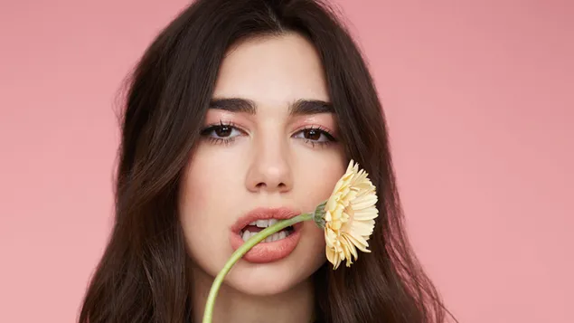 Dua lipa yellow daisy flower in mouth and pink background download