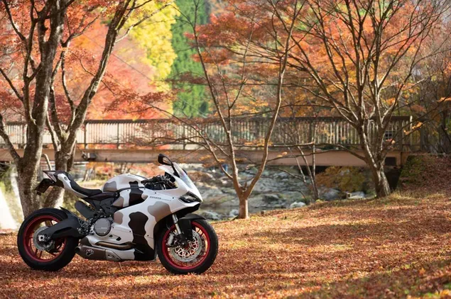 Ducati 899 Panigale-park aan het meer met houten brugachtergrond in de herfst download