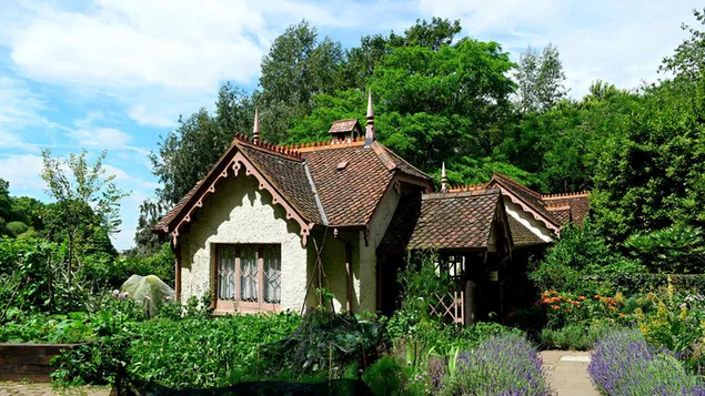 Nhà gỗ kiểu Swiss Island Cottage cho một người nuôi chim người Anh tải xuống