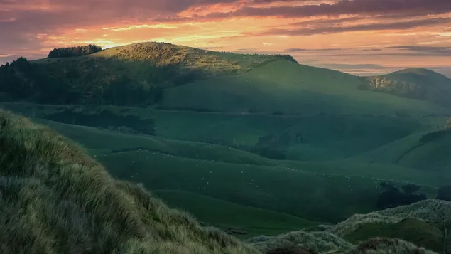 Dunedin, New Zealand 4K wallpaper