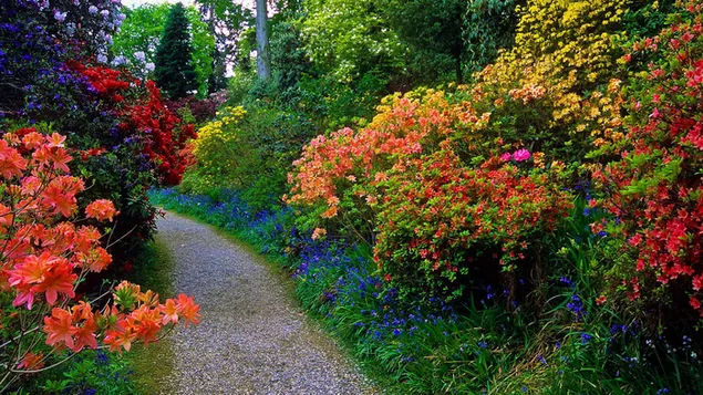 Đường đi trong vườn mùa hè đầy hoa tải xuống