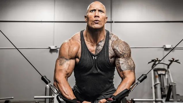 Dwayne johnson, known for action, comedy and adventure movies, trains at the gym