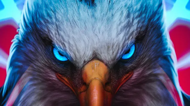 Eagle Eyes 