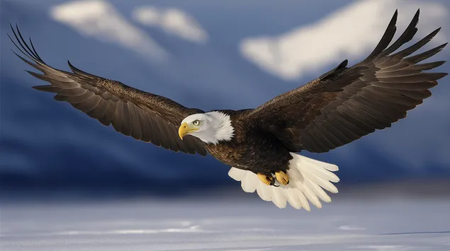 orao nisko leti iznad snezhnog pejzazha preuzmi