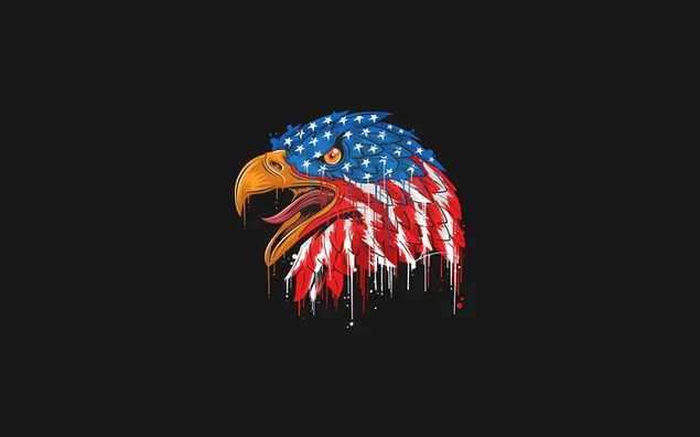 Simbol Eagle in America Flag di pesawat hitam unduhan