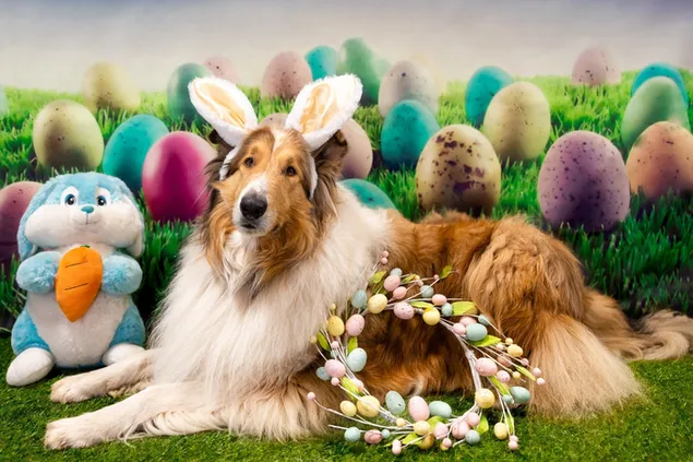 Anjing Gembala Paskah di Eggland