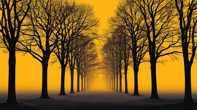 eng grujeleg strooss mat beem am mystischen gellene niwwel eroflueden