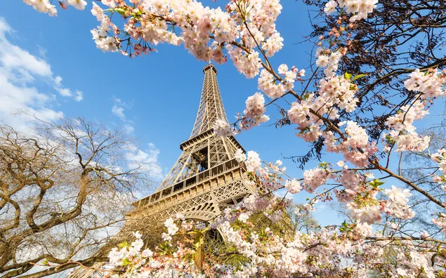 Menara Eiffel di Musim Semi unduhan