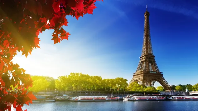 Eiffel tower lanscape download