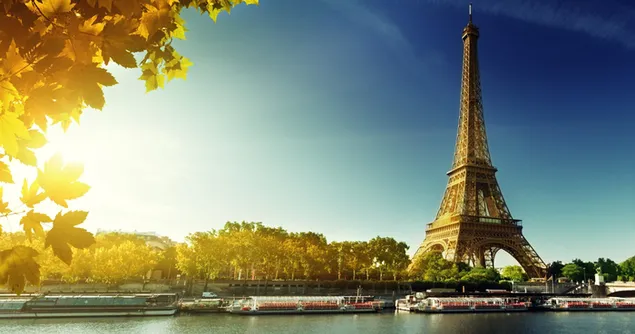 Vista de la torre Eiffel con árboles y hojas en un día soleado