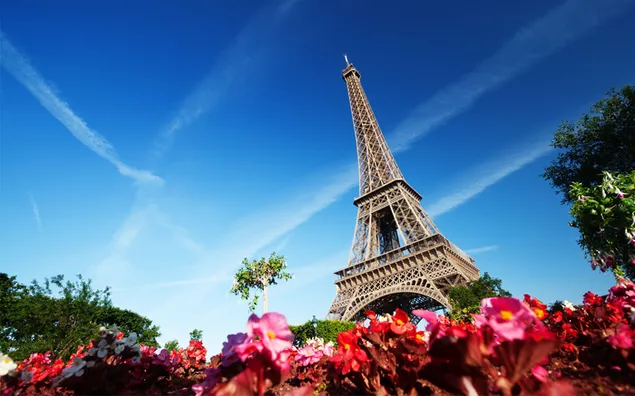 Torre Eiffel amb vista de flors i arbres sota línies de núvols baixada