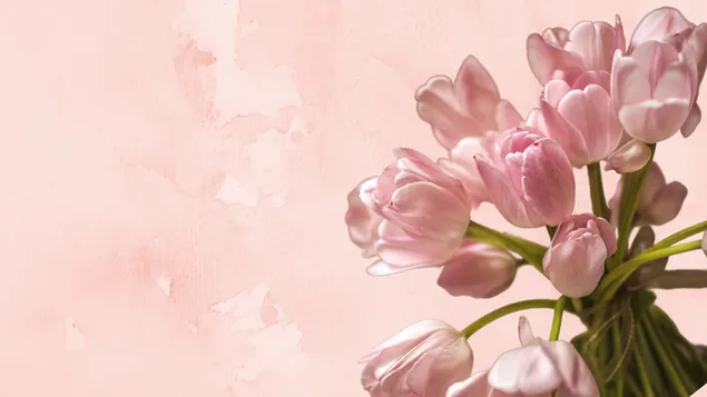 Ein Blumenstrauß aus rosa Tulpen