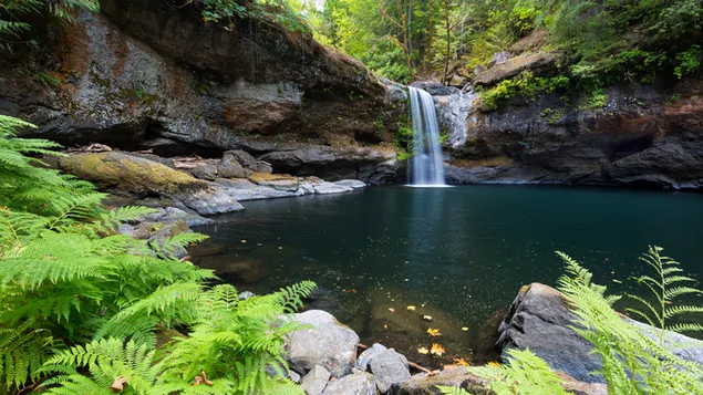 Ein fließender Wasserfall zwischen den Klippen im Wald herunterladen