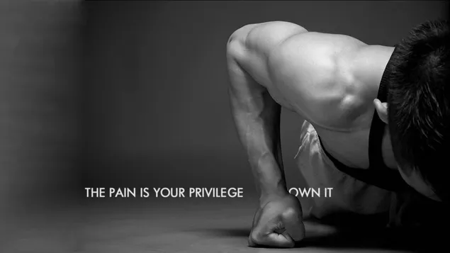 El dolor es tu privilegio, aduéñalo.