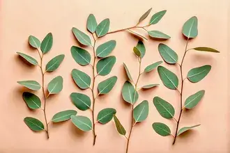 따뜻한 파스텔 배경에 유칼립투스 잎을 우아하게 배열하여 자연스럽고 식물성 구성을 만들어냈습니다. 4K 배경화면