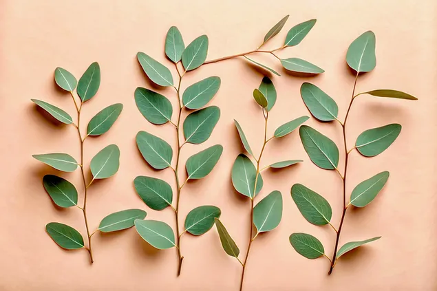 סידור אלגנטי של עלי אקליפטוס על רקע פסטל חם היוצר קומפוזיציה טבעית ובוטנית 4K טפט