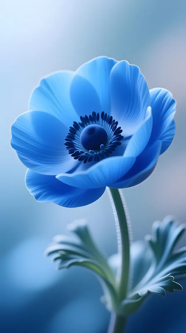 Елегантно синьо цвете на анемона 4K тапет