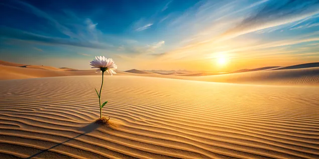 Peisaj elegant deșertic cu o floare solitară care înflorește în golul vast 4K imagine de fundal