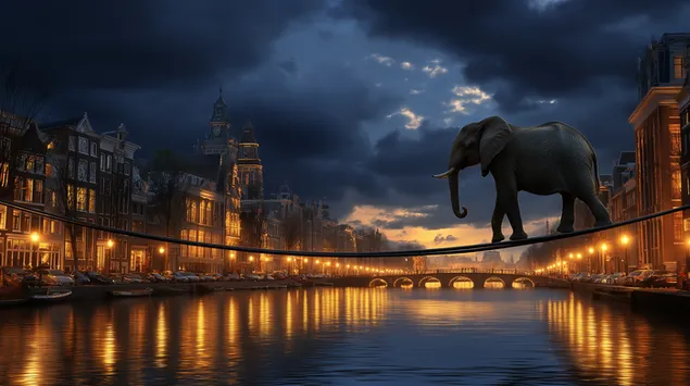 pyl `l khbl dq m`l t`lt mstrdm `m rdt hkhshykh hvrd