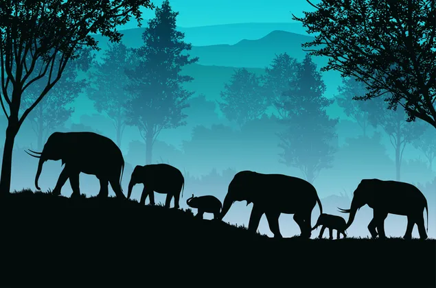 Hình nền Đường mòn voi trong rừng tối 6K