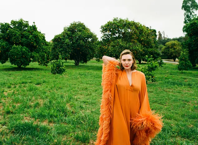 الیزابت اولسن با لباس نارنجی اش کاغذدیواری  HD