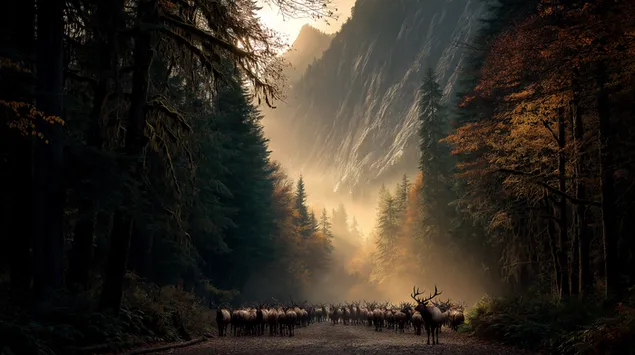 Ταπετσαρία Κοπάδι άλκες σε μια δασική κοιλάδα με φως και ομίχλη 2K