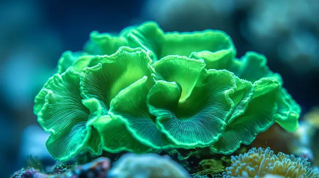 التوهج الزمردي: لقطة مقربة لطحالب الكوديوم الإسفنجية 4K خلفية