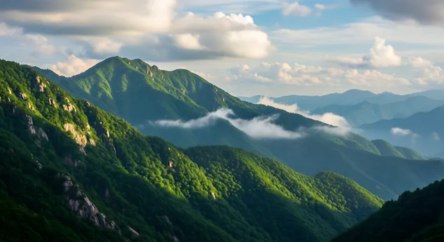 Taustpilt Mäestiku rahu smaragdrohelised lained 8K