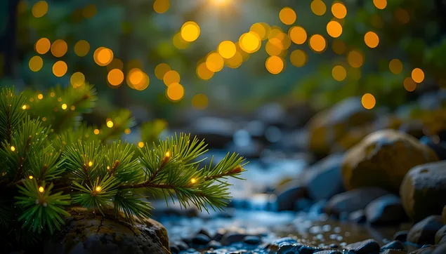 Zauberhafter Waldbach mit funkelnden Kiefernlichtern 4K Hintergrundbild