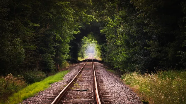 Enchanted Railroad