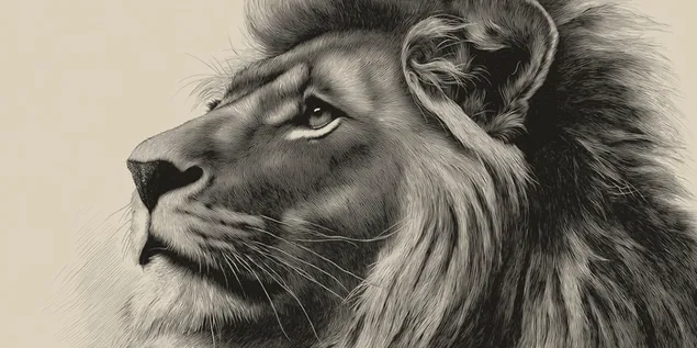 phong cach khac can canh mot con su tu uy nghi nhin nghieng tai xuong