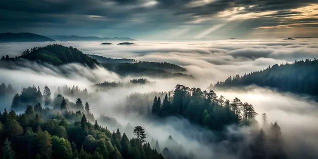 منظر جوي غامض لبحر ضبابي وغابة مظلمة تحت سماء ملبدة بالغيوم 4K خلفية