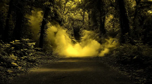 cosan foraoise runda le ceo orga misteireach ioslodail