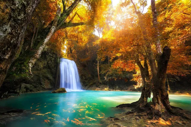 Erawan Waterfall in Thailand download
