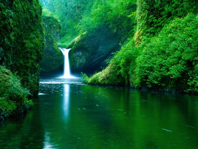 Erstaunlicher Wasserfall herunterladen