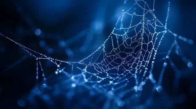 Eterična paukova mreža sa kapljicama rose u mekoj plavoj svjetlosti 8K pozadina