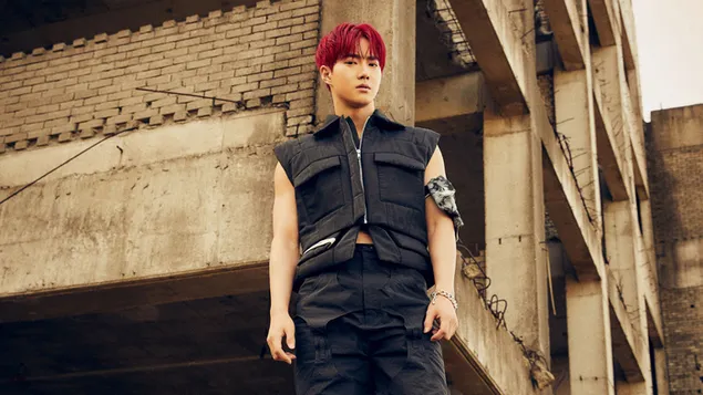 exo sukho | zyomka al'bomu obsession zavantazhiti