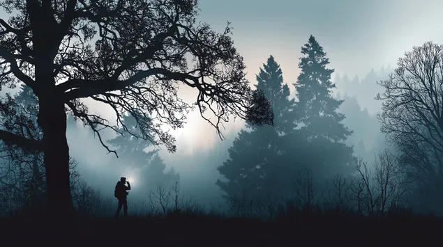 doslidnik sposterigaie za tumannim lisovim kraievidom na svitanku zavantazhiti