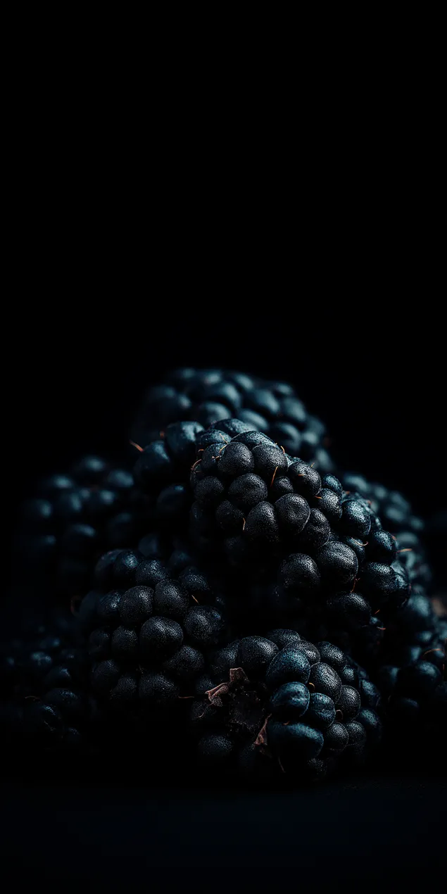 Shen Se Bei Jing Shang Wen Li Jiang Guo De Ji Duan Te Xie Xia Zai