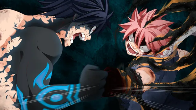fairy tail - grey fullbuster vs natsu dragneel eroflueden