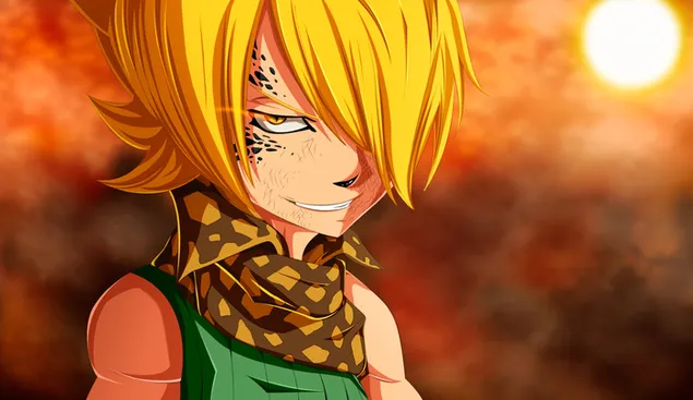 妖精的尾巴 - 豺狼 HD 壁纸