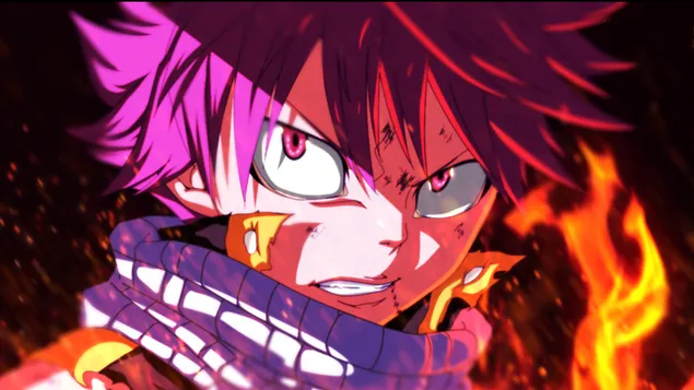 fairy tail - natsu dragneel aflaai