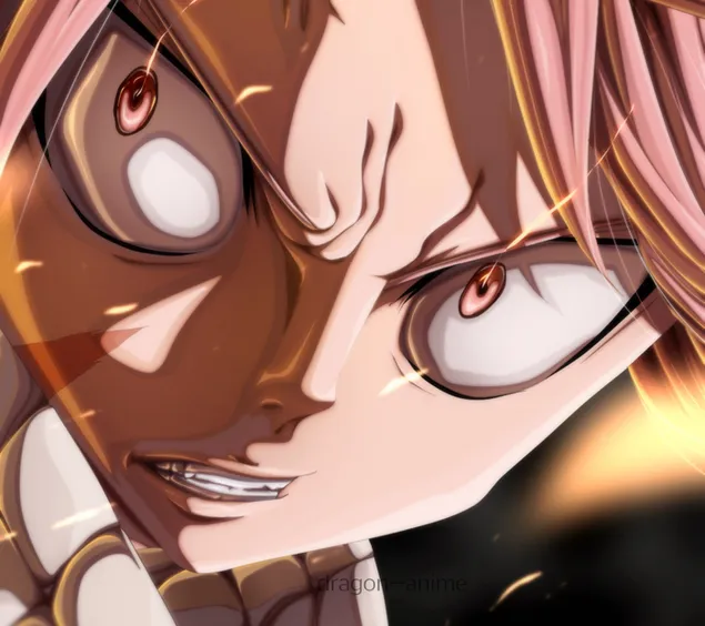 'fairy tail | natsu dragneel' aflaai