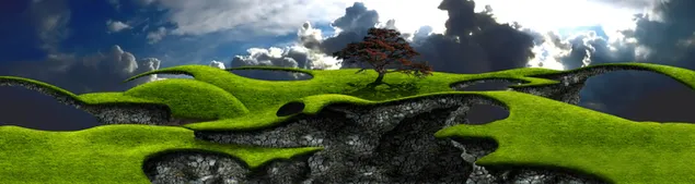 Fantástica vista del árbol con nubes en el campo de hierba en el acantilado