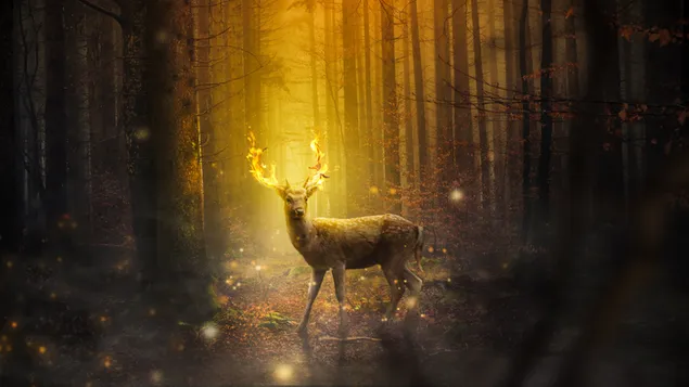 Fantasie: Hirsch mit brennendem Horn 4K Hintergrundbild