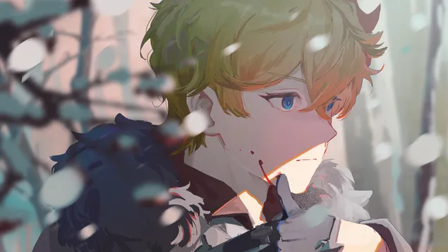 descarcare tipul fanteziei aether genshin oras ingrijorator | genshin impact