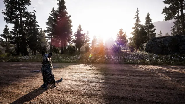 Far Cry 5: The Platters - Een loyale vriend