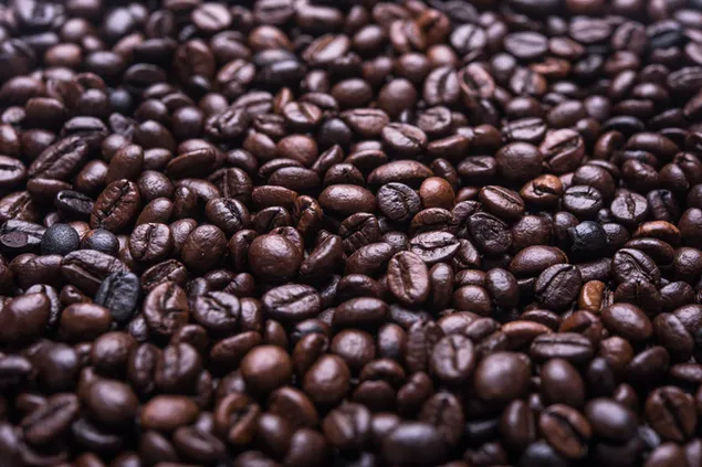 Tampilan biji kopi yang menarik dalam warna terang dan gelap