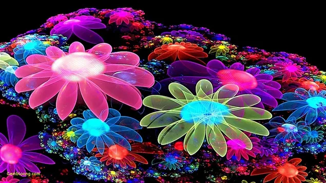 Faszinierender Blick auf bunte Blumen HD Hintergrundbild